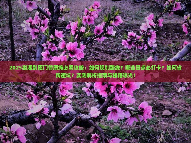 巢湖到厦门曾厝埯攻略