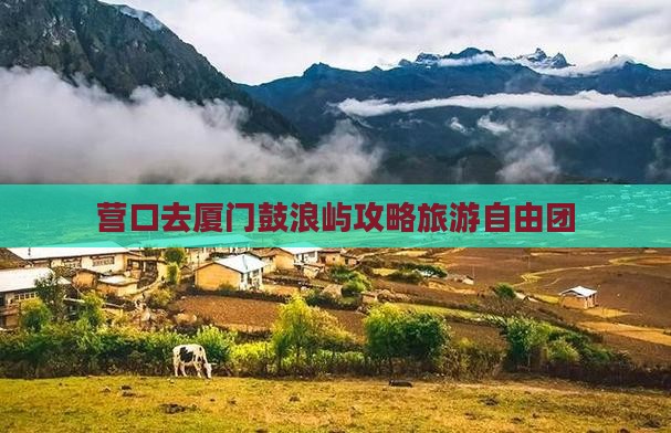 营口去厦门鼓浪屿自由团