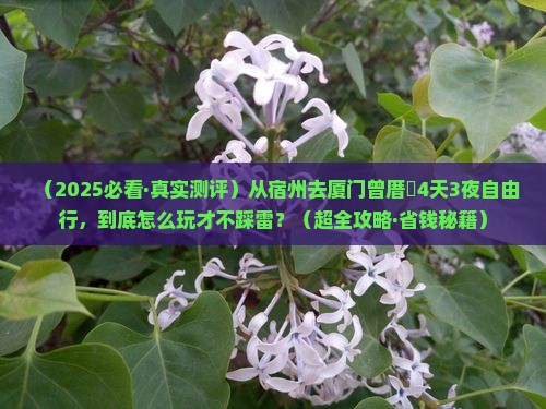 宿州到厦门曾厝埯四日游