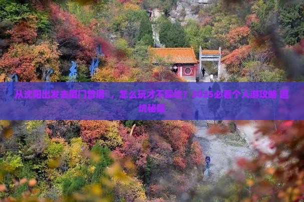 沈阳去厦门曾厝埯个人游