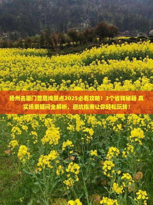 扬州去厦门曾厝埯景点