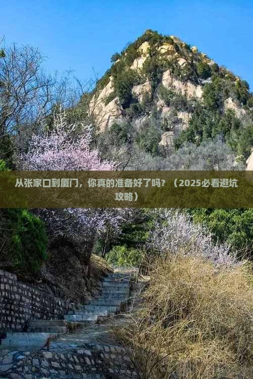 张家口去厦门旅游