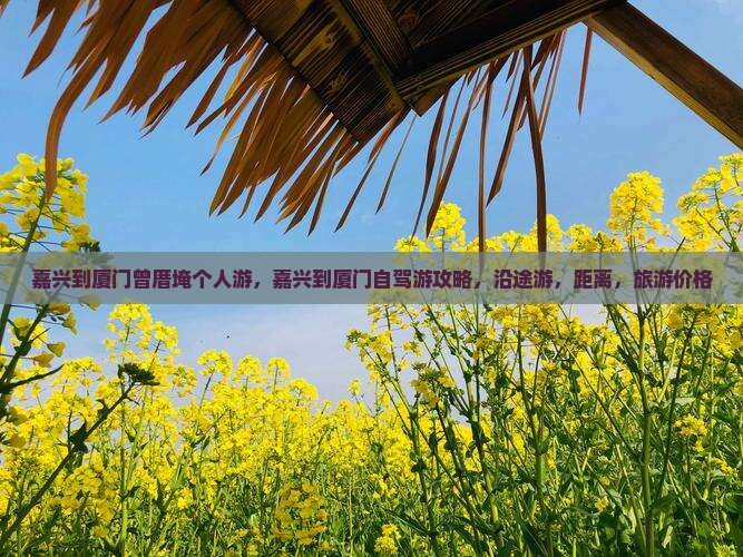 嘉兴到厦门曾厝埯个人游