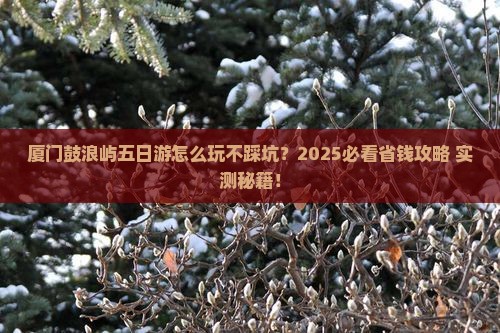 清徐到厦门鼓浪屿五日游