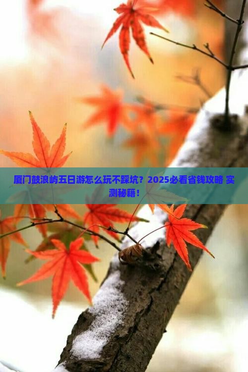 清徐到厦门鼓浪屿五日游