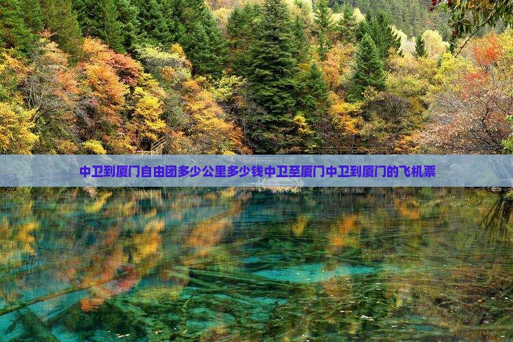 中卫到厦门自由团