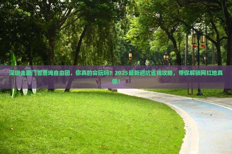 深圳去厦门曾厝埯自由团