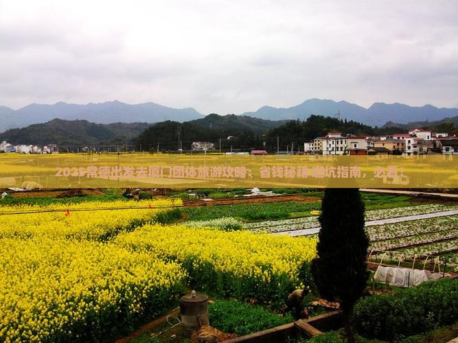 常德去厦门团体旅游
