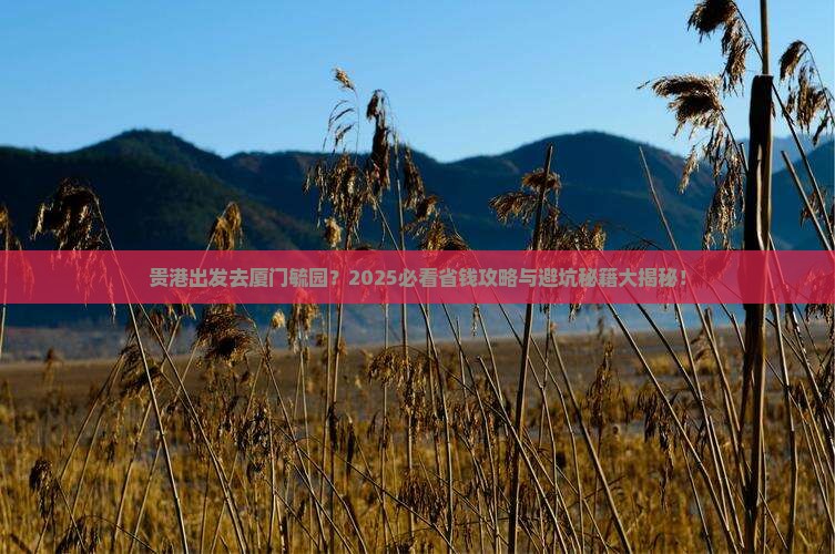 贵港去厦门毓园旅行社