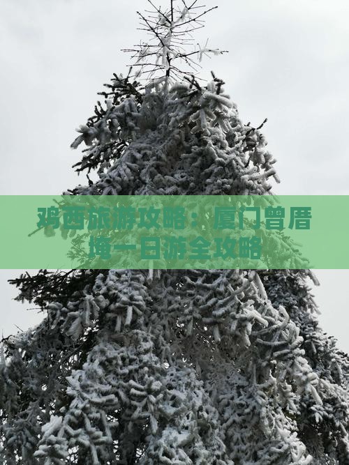 鸡西去厦门曾厝埯一日