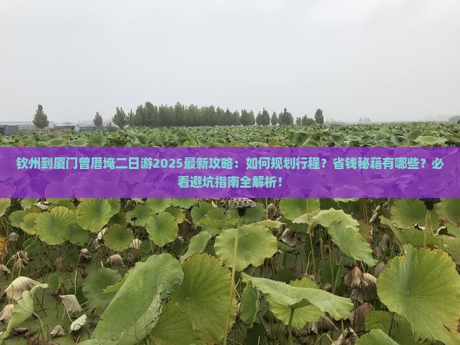 钦州到厦门曾厝埯二日游