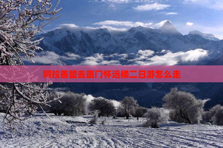 阿拉善盟去厦门怀远楼二日游
