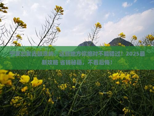 宁波去厦门鼓浪屿必去地