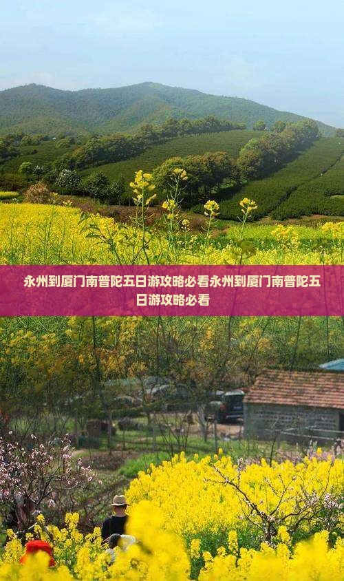 永州到厦门南普陀五日游