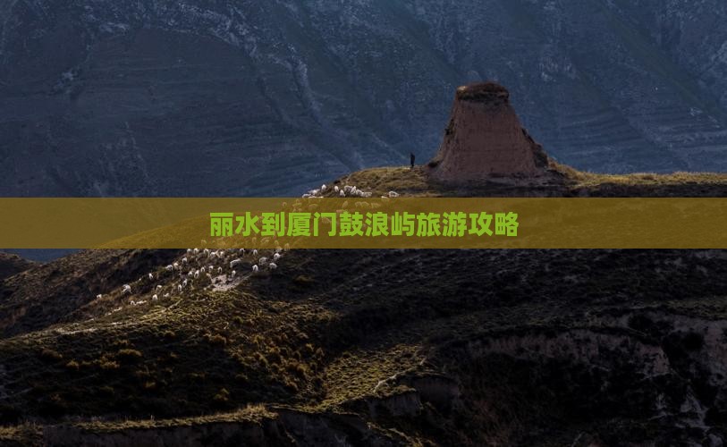 丽水到厦门鼓浪屿自由行