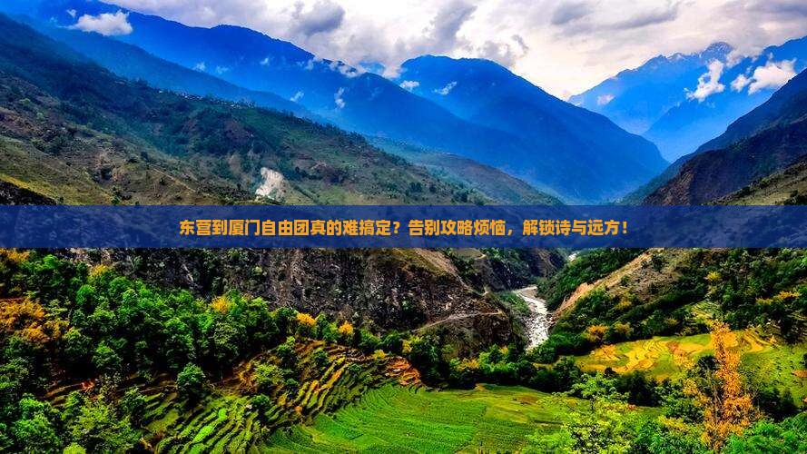 东营到厦门自由团