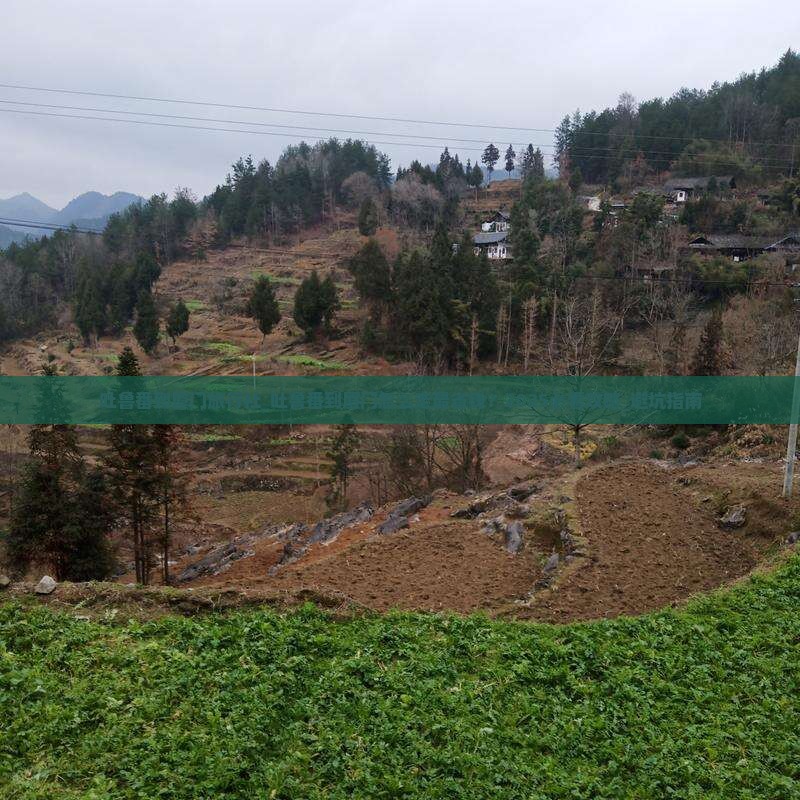 吐鲁番到厦门旅行社