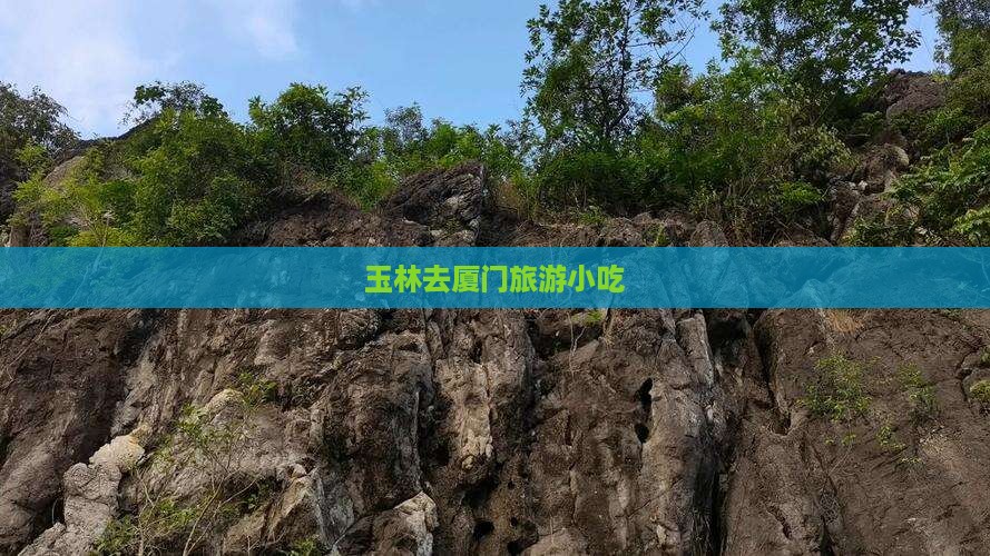 玉林去厦门旅游小吃