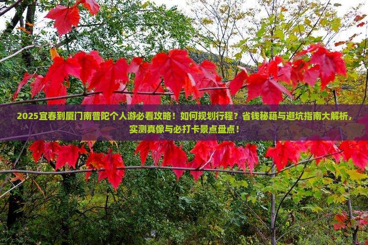 宜春到厦门南普陀个人游