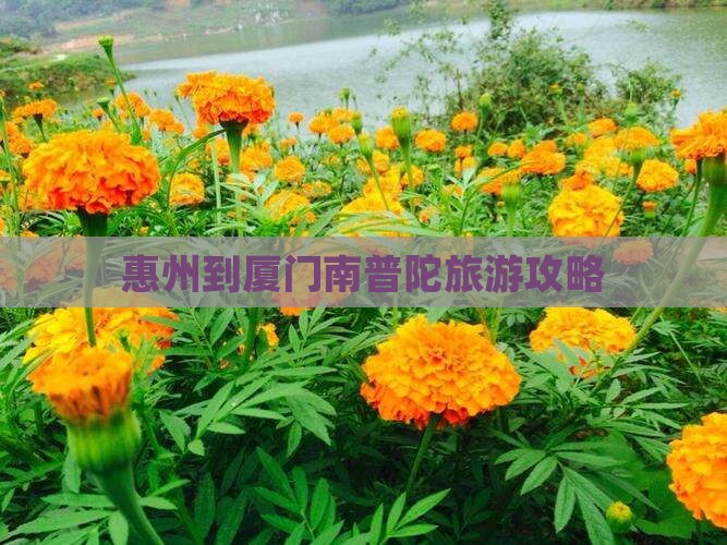 惠州到厦门南普陀攻略