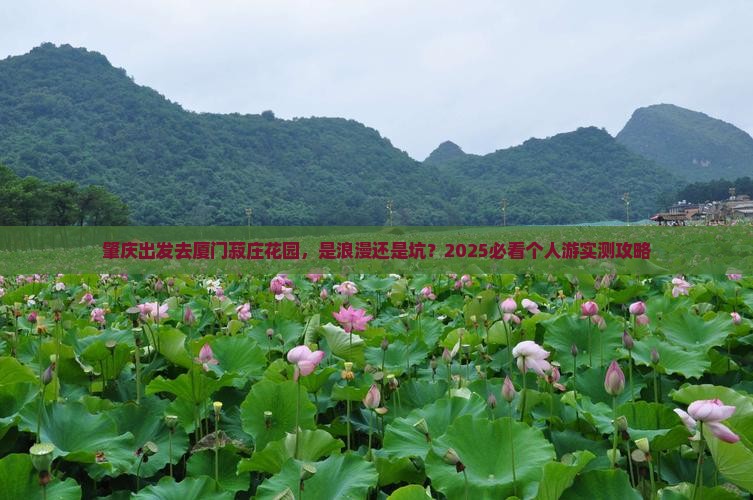 肇庆到厦门菽庄花园个人游