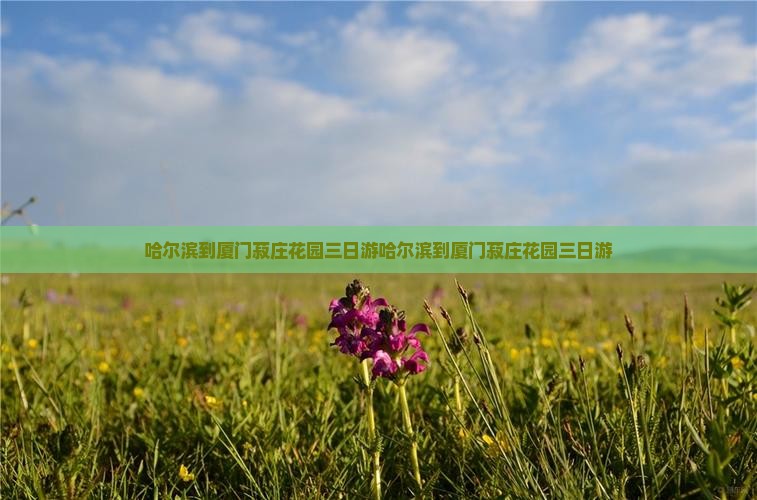 哈尔滨到厦门菽庄花园三日游