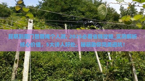 昆明到厦门曾厝埯个人游