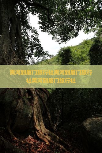 黑河到厦门旅行社