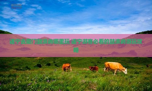 遂宁去厦门鼓浪屿哪里玩