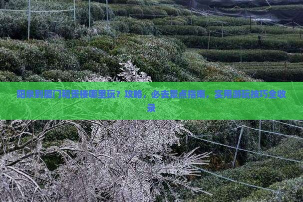 阳泉到厦门和贵楼哪里玩