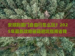 安顺到厦门自由行