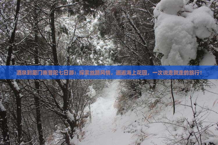 酒泉到厦门南普陀七日游