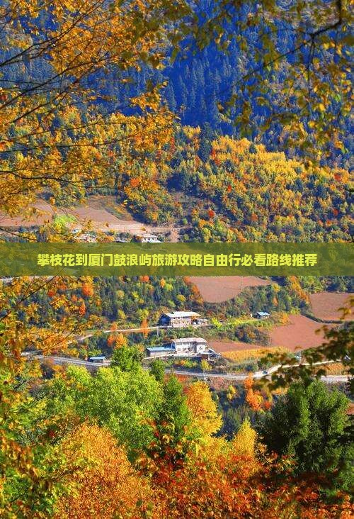 攀枝花到厦门鼓浪屿旅游