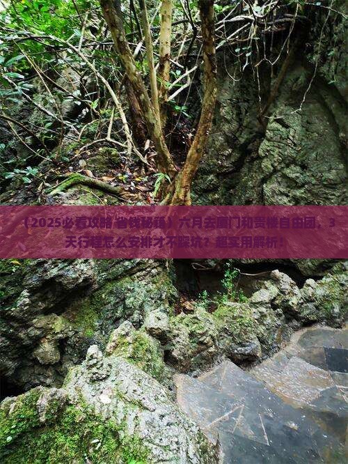 六月去厦门和贵楼自由团