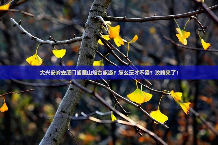 大兴安岭去厦门胡里山炮台旅游