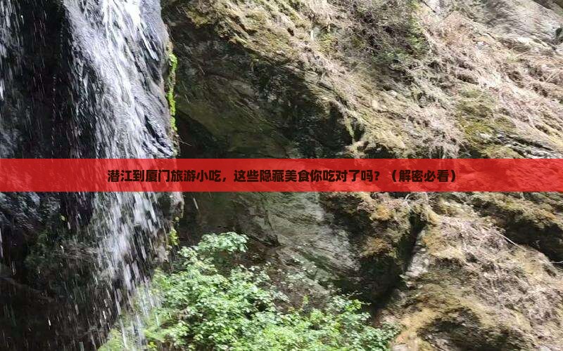 潜江到厦门旅游小吃