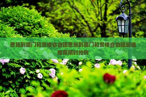 恩施到厦门和贵楼自由团