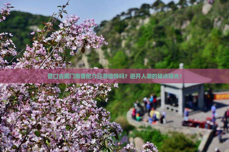 营口去厦门南普陀六日游