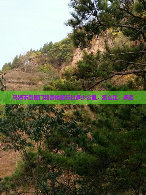 乌海市到厦门和贵楼旅行社