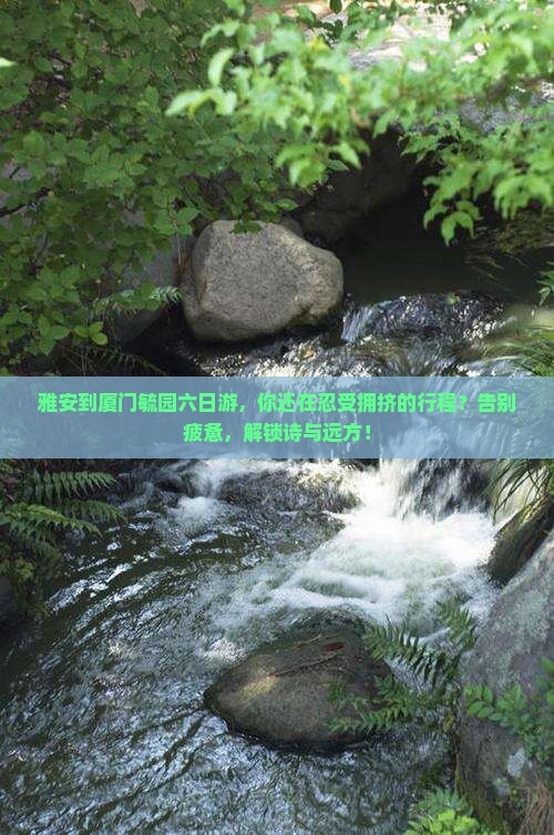 雅安到厦门毓园六日游