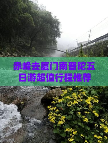 赤峰去厦门南普陀五日游