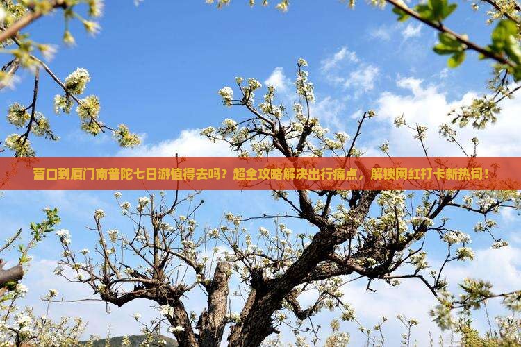 营口到厦门南普陀七日游