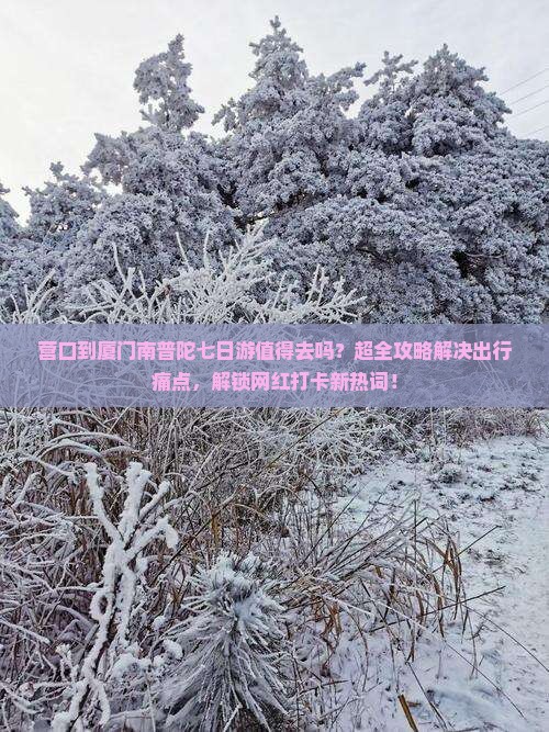 营口到厦门南普陀七日游