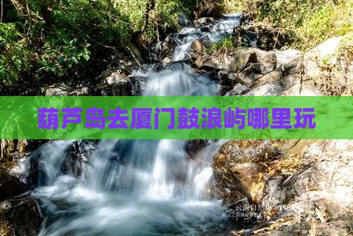 葫芦岛去厦门鼓浪屿哪里玩