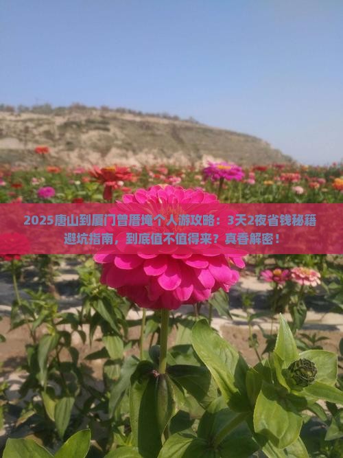 唐山到厦门曾厝埯个人游