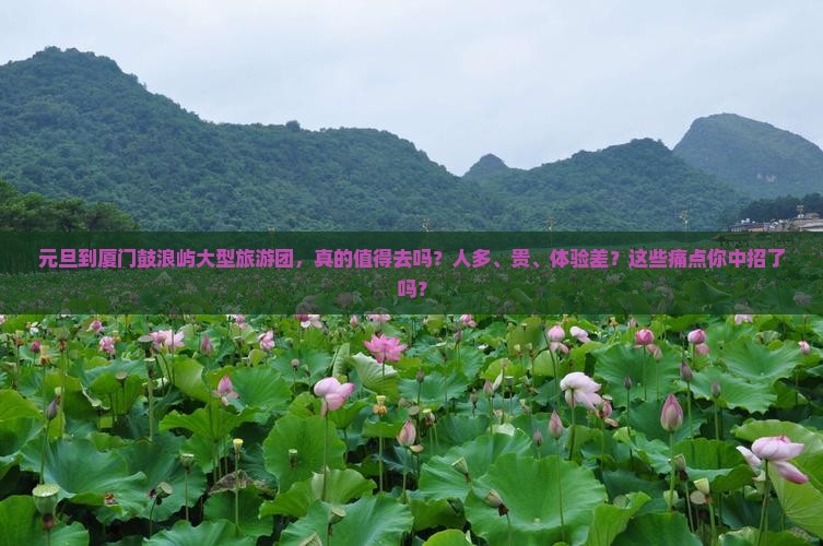 元旦到厦门鼓浪屿大型旅游团
