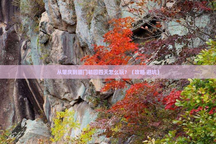肇庆去厦门毓园四日游