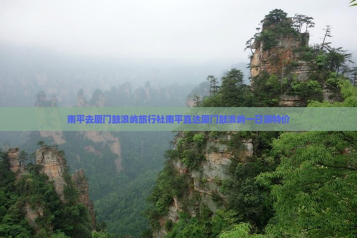南平去厦门鼓浪屿旅行社
