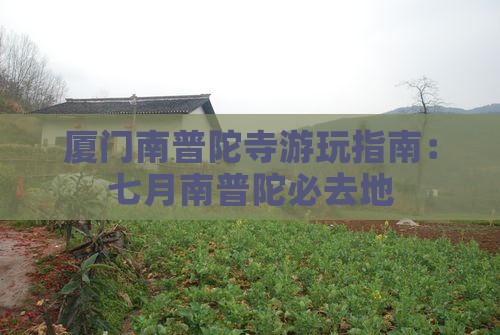 七月去厦门南普陀必去地 七月去厦门南普陀必去地