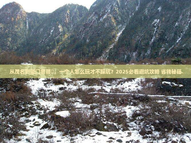 茂名去厦门曾厝埯个人游